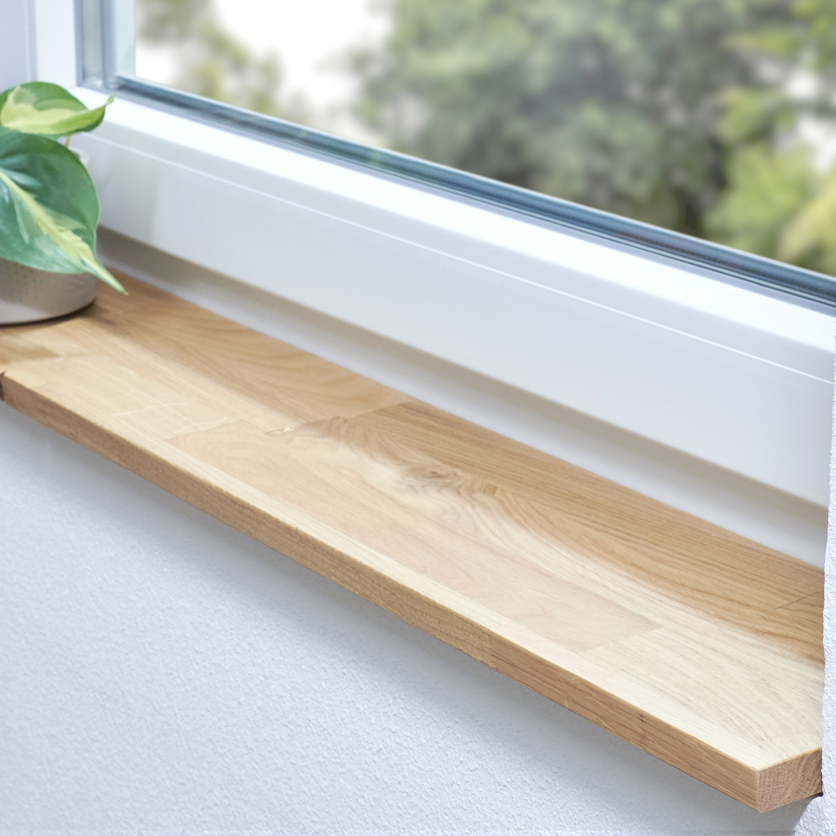 Appui de fenêtre en chêne sauvage naturel, abouté, avec nœuds, dans une embrasure blanche avec plante et vue sur la verdure