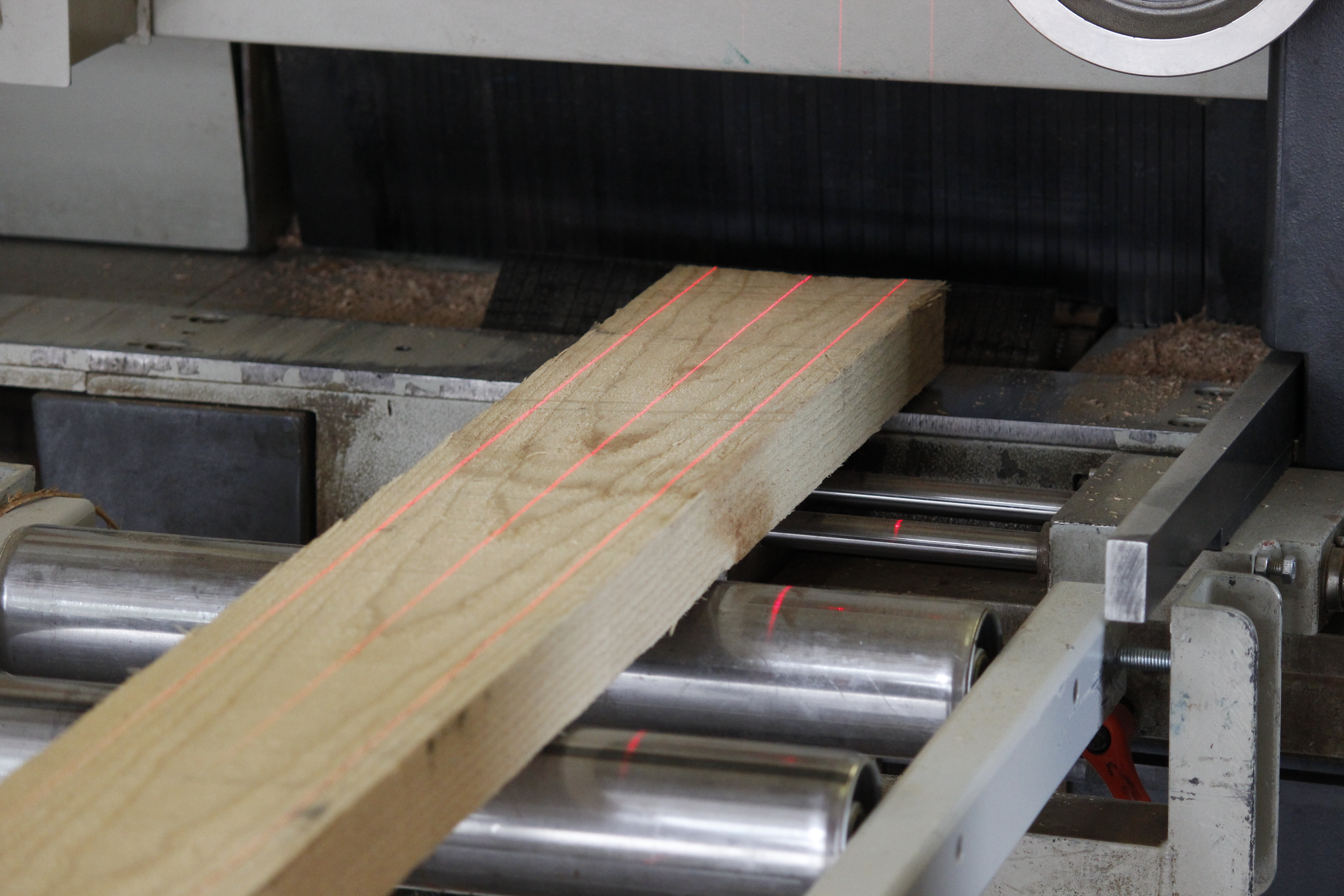 Fabrication d'appuis de fenêtre en bois massif : ébauche sur le convoyeur à rouleaux d'une scie à lasers rouges, atelier