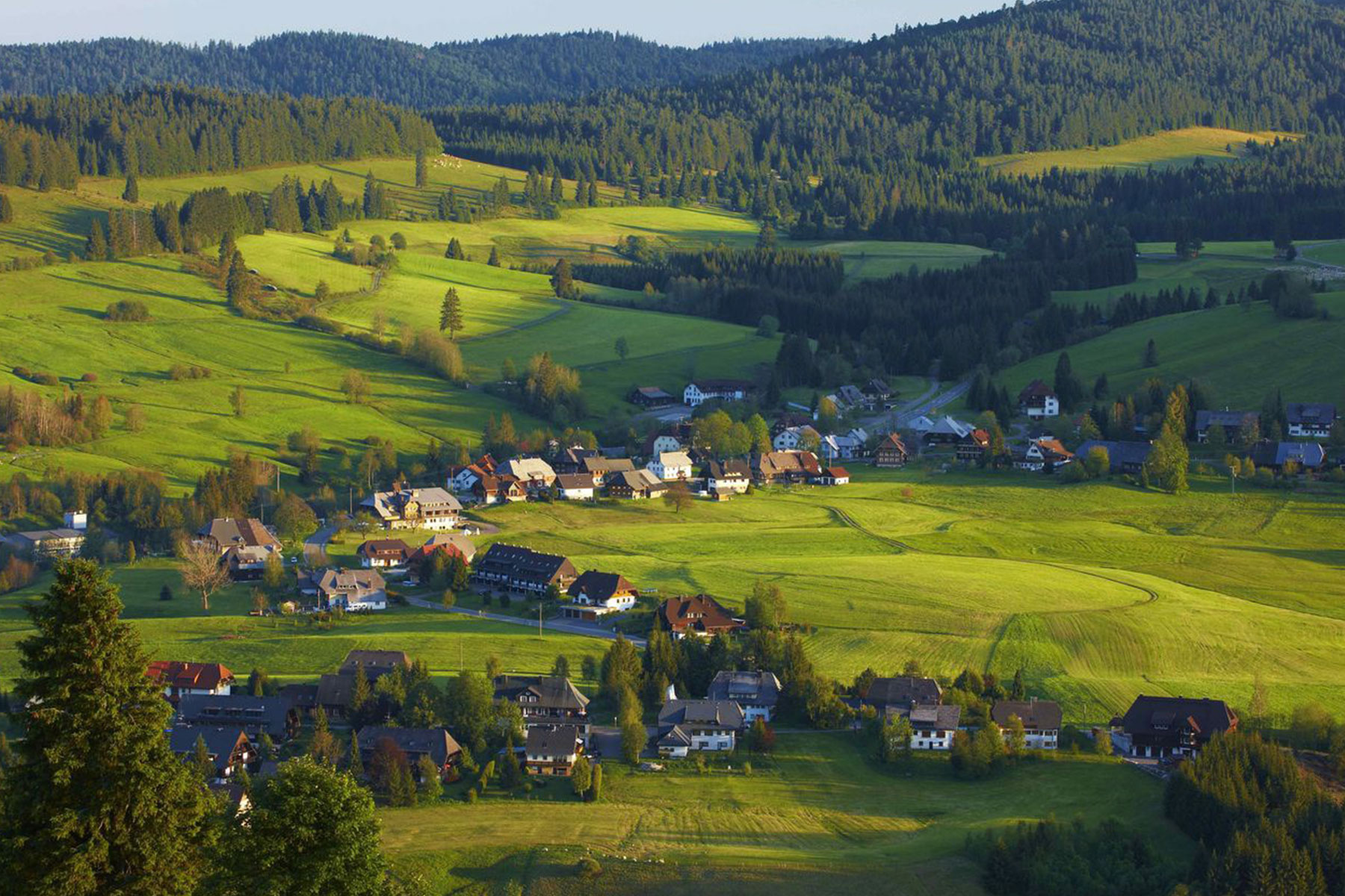 Paysage de la Forêt-Noire avec village, prairies vertes et forêts de sapins, berceau de la fabrication de mains courantes