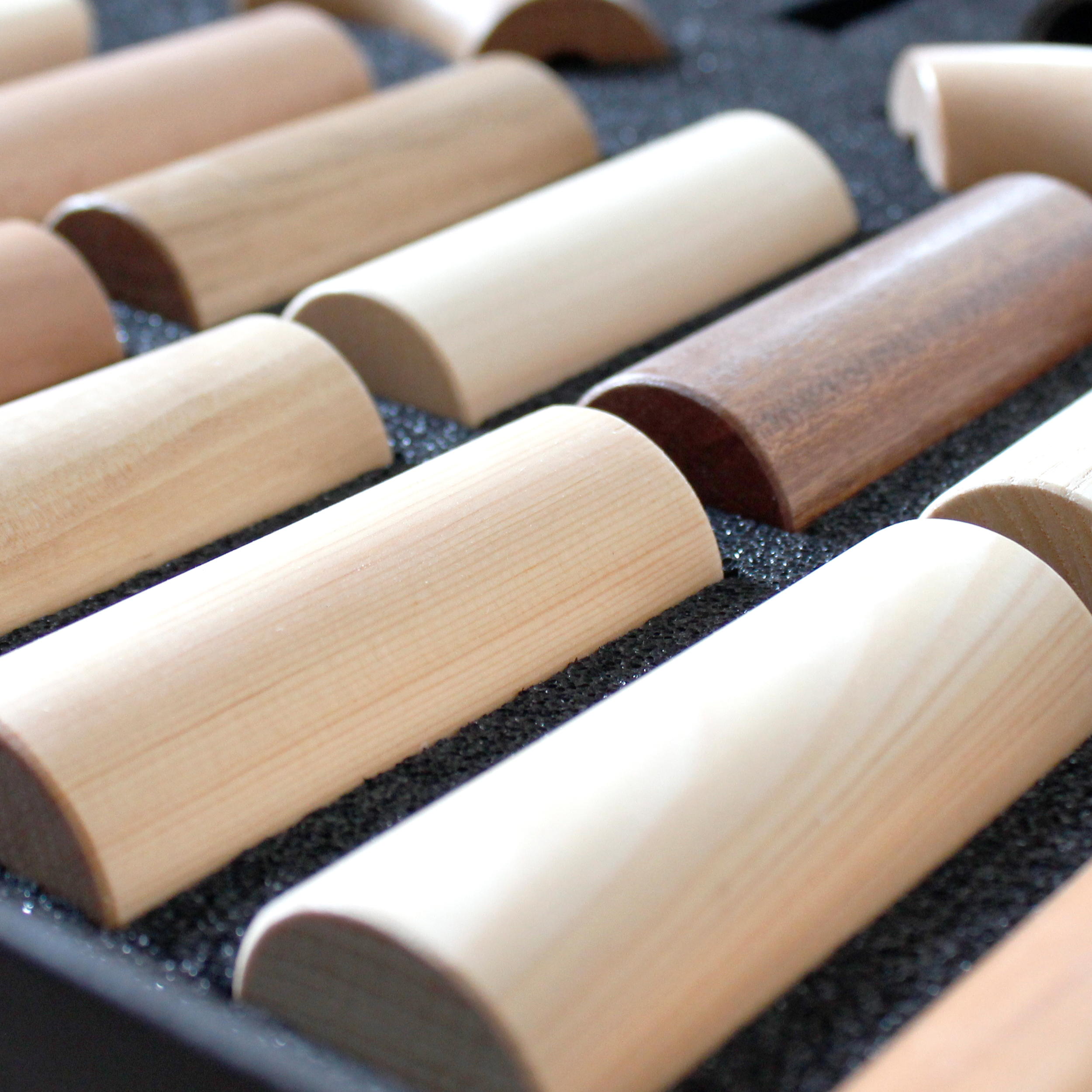 Échantillons de mains courantes : coffret avec échantillons demi-ronds de diverses essences dans une mousse noire, gros plan